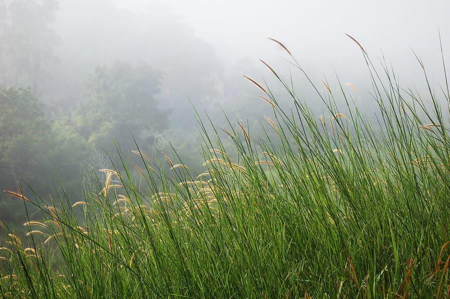 Red Z Cool Mountain Hotel Khao Kho Luaran gambar