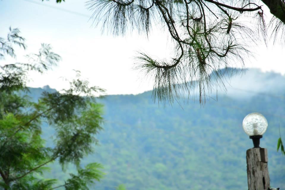 Red Z Cool Mountain Hotel Khao Kho Luaran gambar
