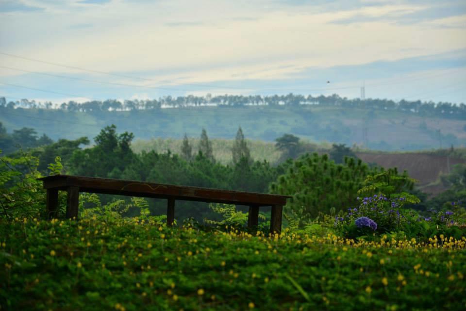 Red Z Cool Mountain Hotel Khao Kho Luaran gambar