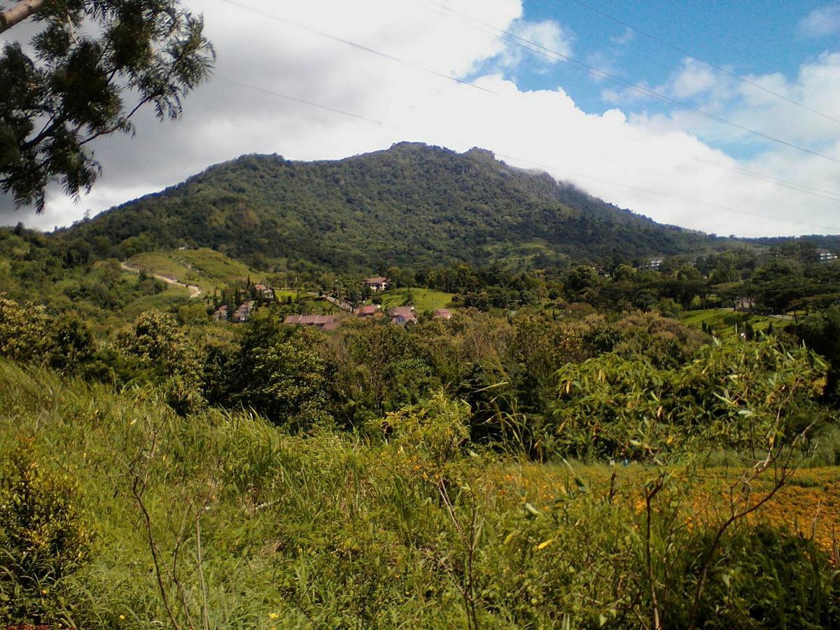 Red Z Cool Mountain Hotel Khao Kho Luaran gambar