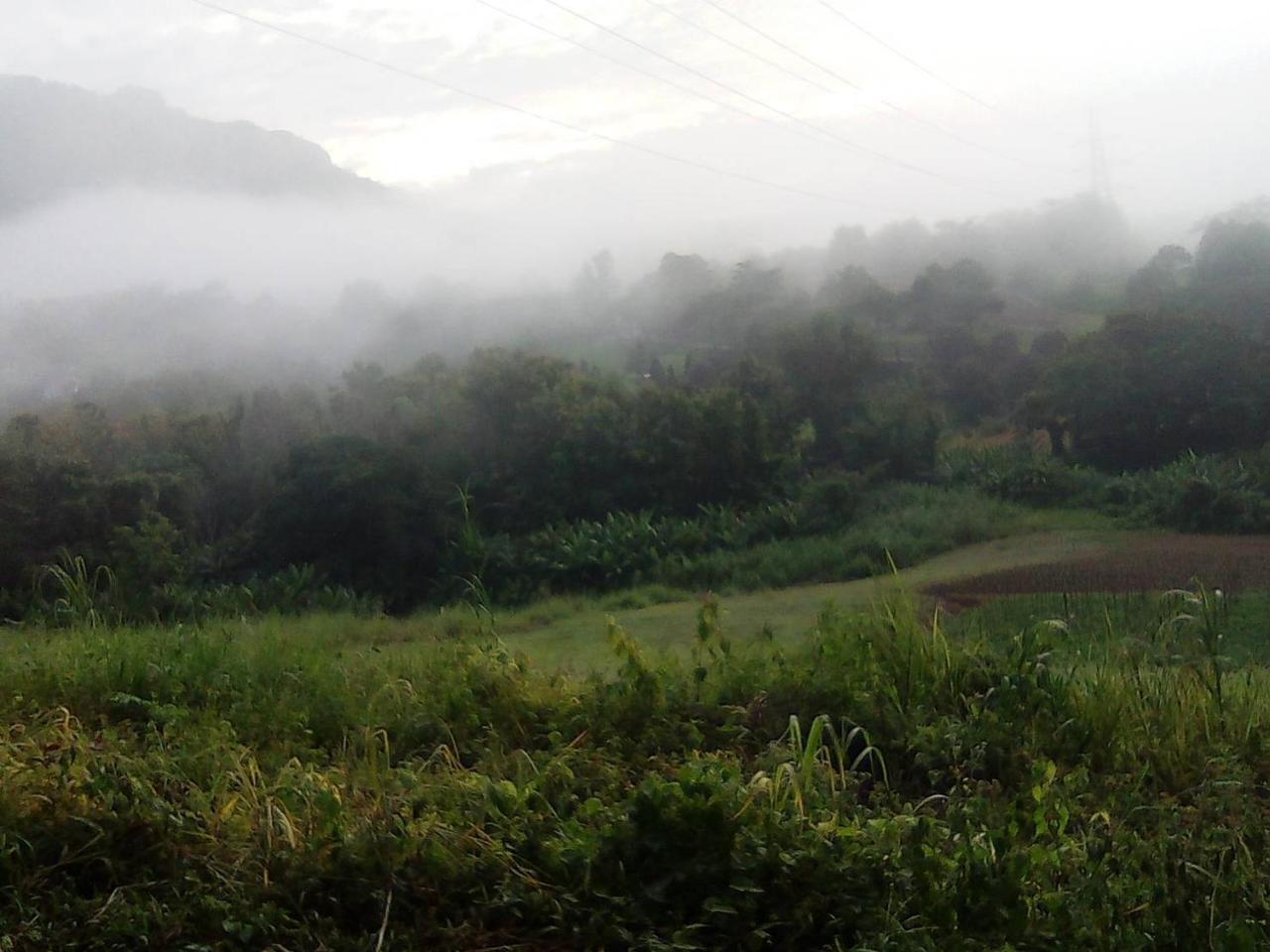 Red Z Cool Mountain Hotel Khao Kho Luaran gambar